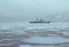 Сибирь в бухте Крашенинникова